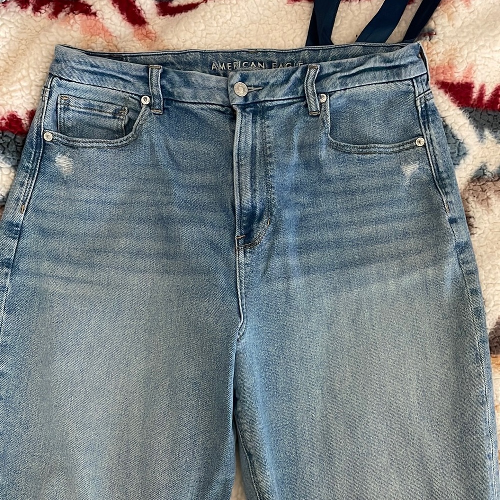 AE Distressed Curvy Mom Jean size 14 reg